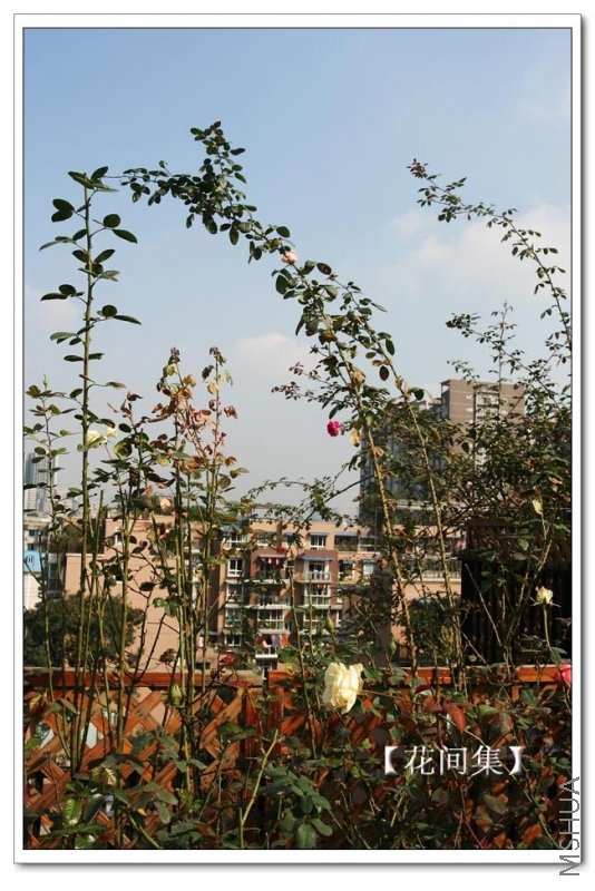 IMG_0066 ����.jpg