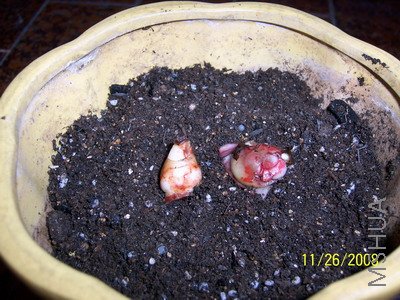 ��Ƭ 1433(400).jpg