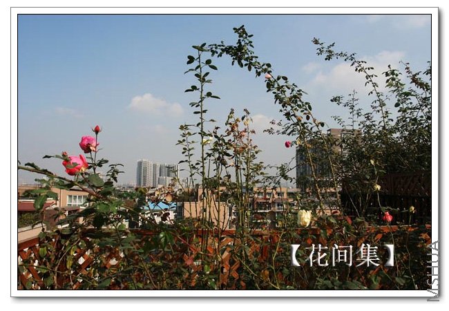 IMG_0068 ����.jpg