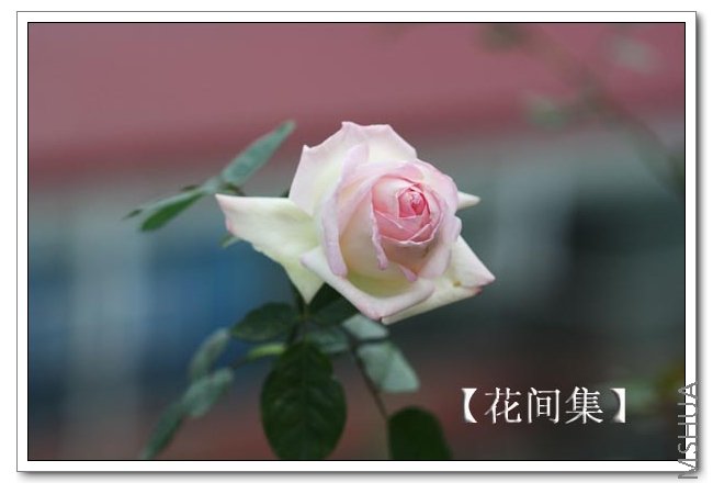 IMG_0163 ����.jpg