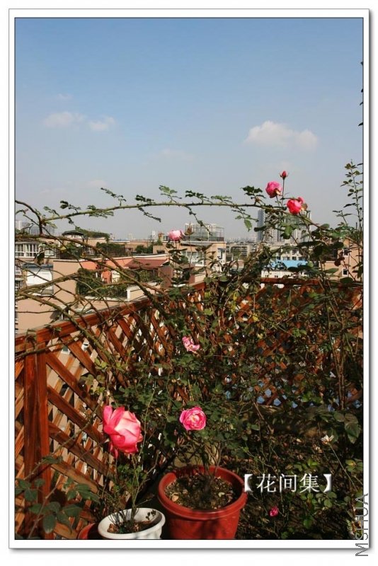 IMG_0065 ����.jpg