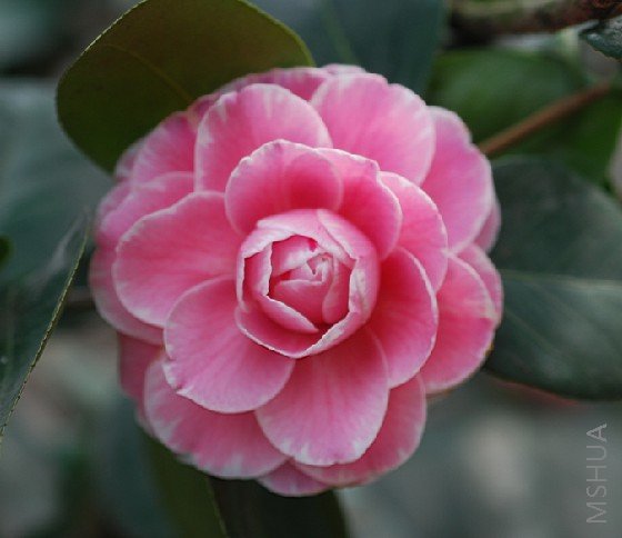 ���ۺ����죬����ױߣ����ǵ���