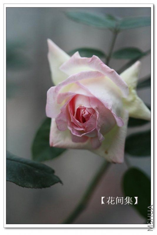 IMG_0161 ����.jpg