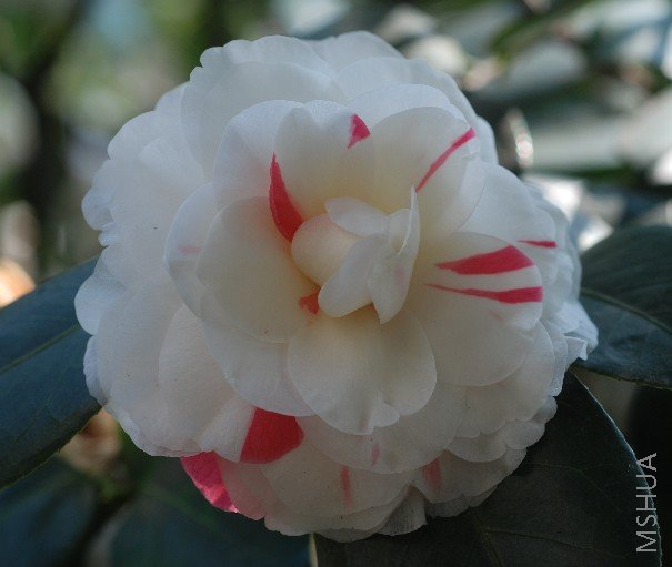 ���д����к�˿���飬����