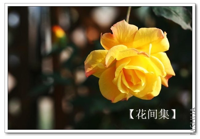 IMG_9967 ����.jpg