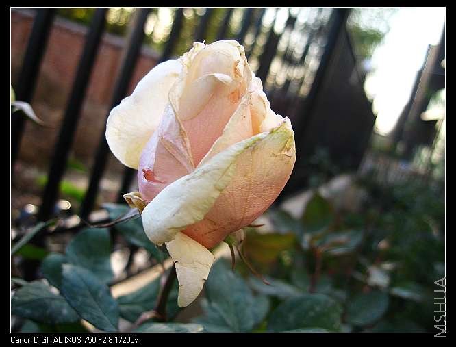 nEO_IMG_�� 018.jpg