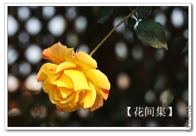 IMG_9971 ����.jpg