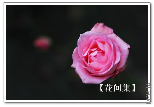 IMG_0106 ����.jpg