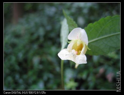 ��̴���һ��