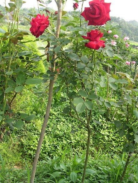 ��������1