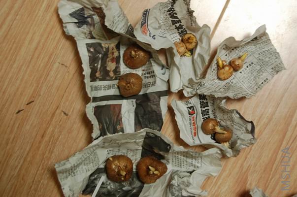 ������С DSC_0004.JPG