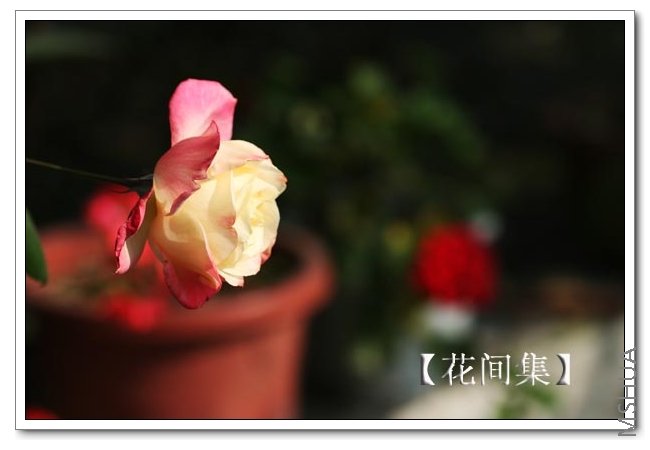 IMG_0095 ����.jpg