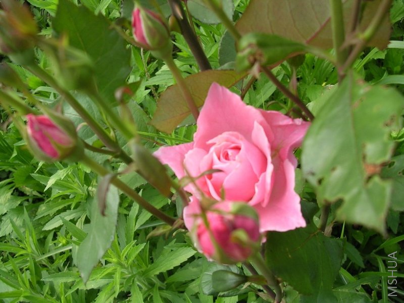 ��������