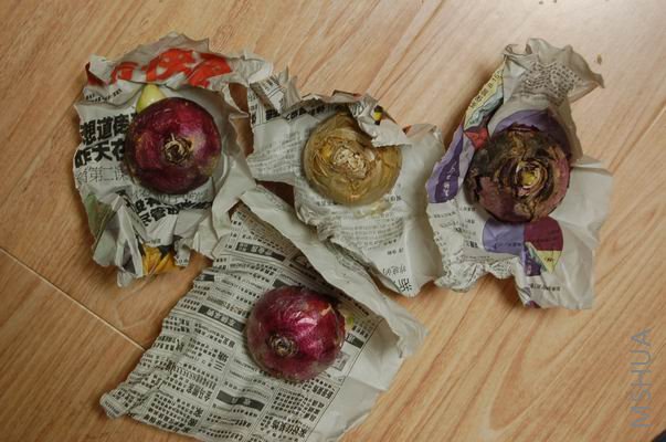 ������С DSC_0001.JPG