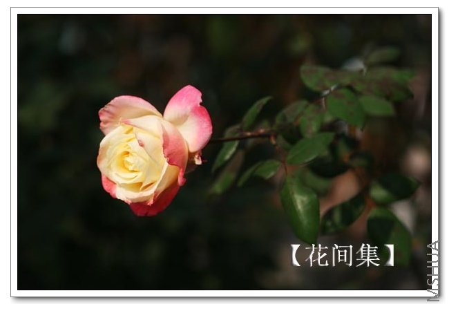 IMG_0091 ����.jpg