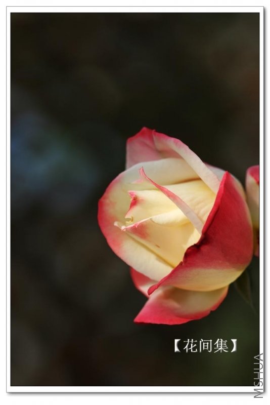 IMG_0097 ����.jpg