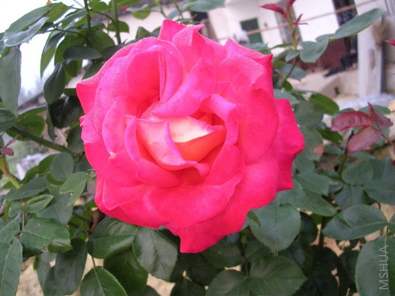 ����ȫ��