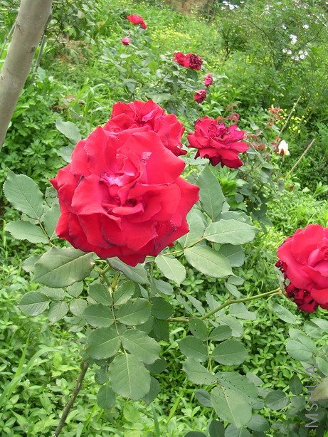 �������ʹ���ȫ��