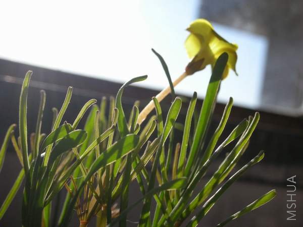 ����Ҳ��ȫ��ɫ��û����ɫ��