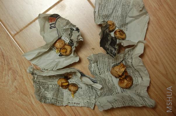 ������С DSC_0005.JPG