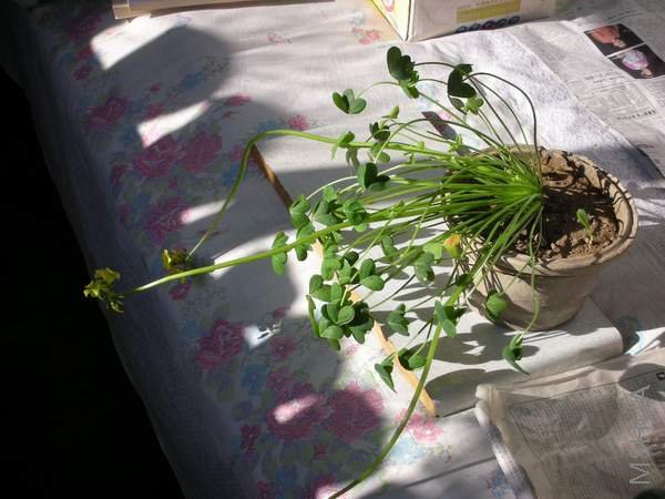 ����������ϴ�