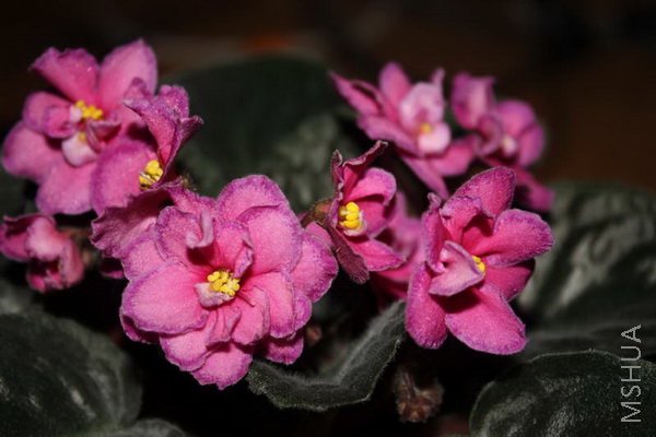 ode to beauty-41.JPG