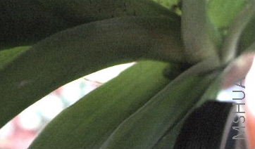 ���л���