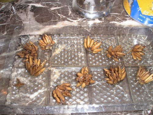 4�� 5�ȱ��������