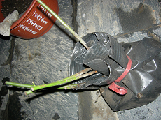 û�б�ǩ�Ĵ��磬��4����