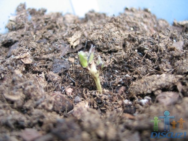 ����3��ѿ���Ǻܱ�����