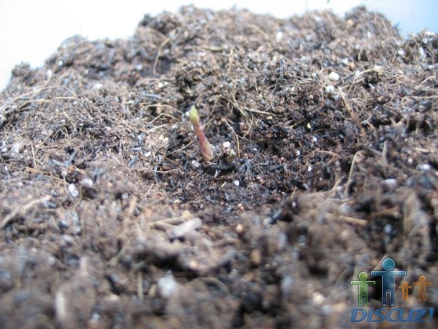 һ�����ĳ���