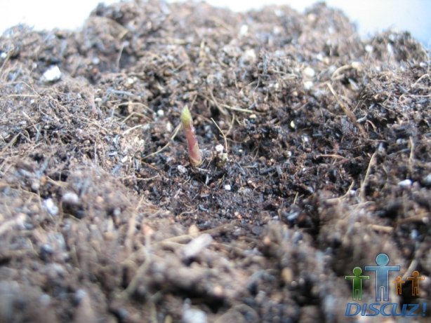 �߸����ǵ�����