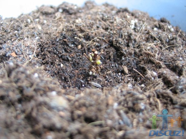 ��³��˾��ѿ��С����֣���2��ѿ���ȶ���