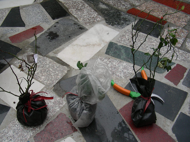 �տ���ʱ�ĵ�