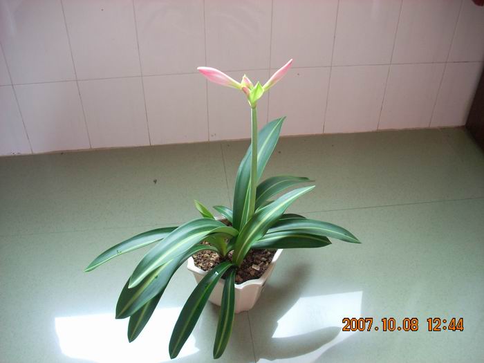 DSCN0448.jpg