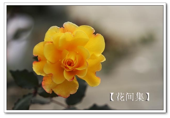 IMG_0649 ����.jpg