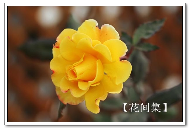 IMG_0653 ����.jpg