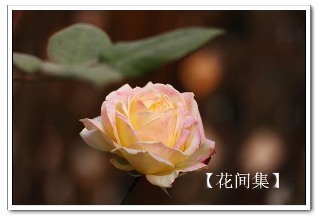 IMG_0661 ����.jpg