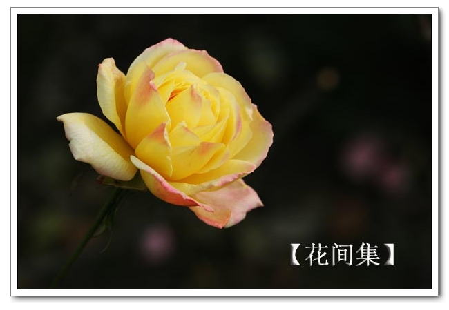 IMG_0680 ����.jpg