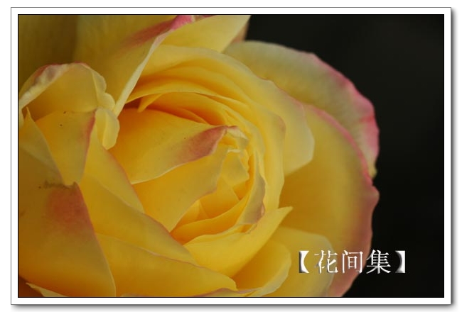 IMG_0688 ����.jpg