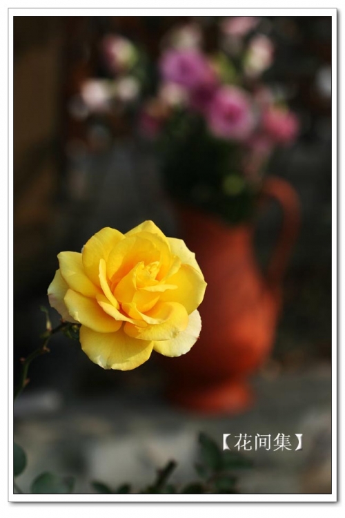 IMG_0347 ����.jpg