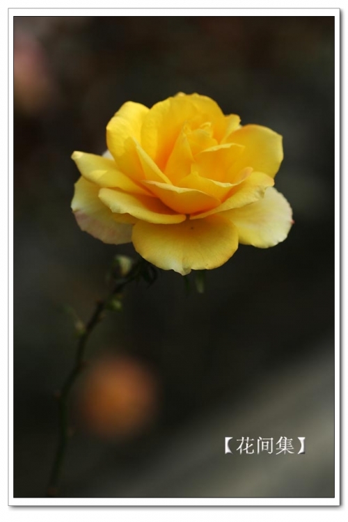 IMG_0331 ����.jpg