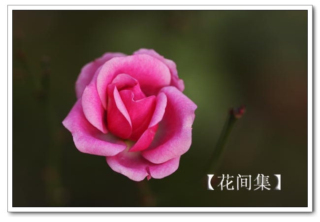 IMG_0695 ����.jpg