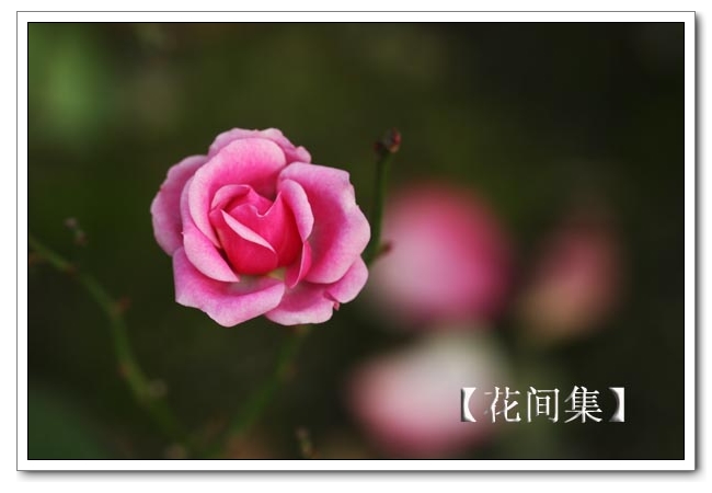 IMG_0692 ����.jpg