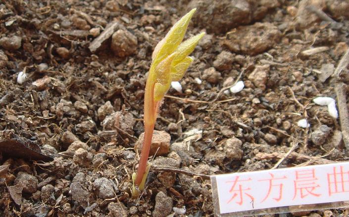 12��31�� Ernest Markham��������.JPG