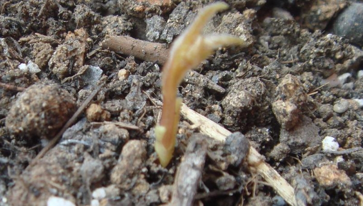 Ernest Markham�������� 12��25.JPG