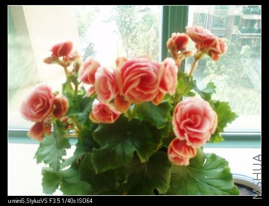 ����һ���ʢ����õ��