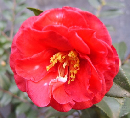 S8000805-2.jpg