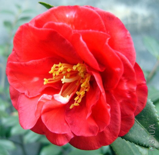 S8000816-2.jpg
