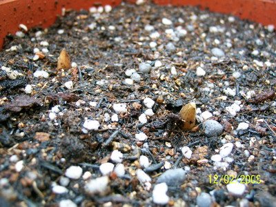 ��Ƭ 1379(400).jpg